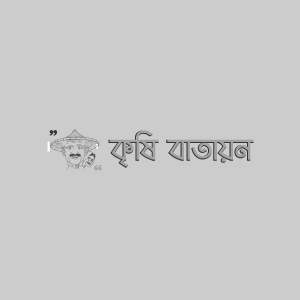 মেহেদীর স্কেল ইনসেক্ট বা খোসা পোকা