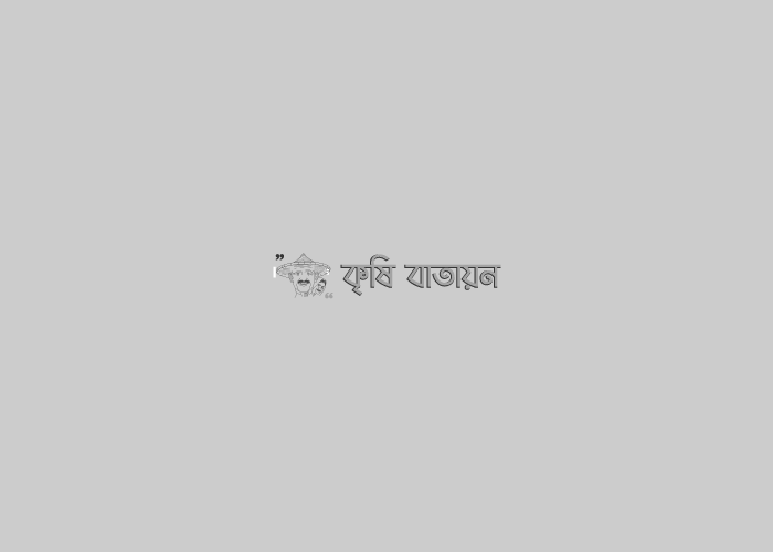 কৃষি