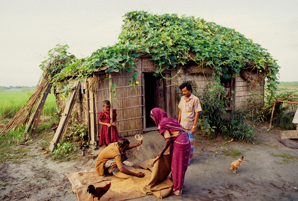 বিশ্বনাথের বিভিন্ন স্থানে শীতকালিন সবজির বাম্পার ফলন